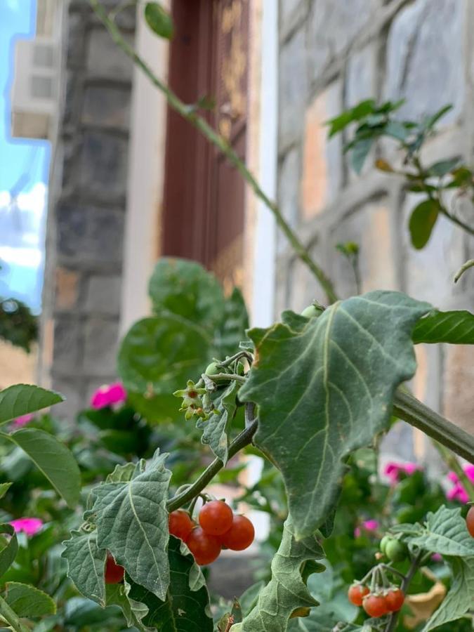Jabal Shams Country house *